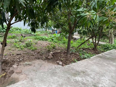 Đất Bát Khối Tư Đình 45m2 MT 5,7m giá 2,55tỷ