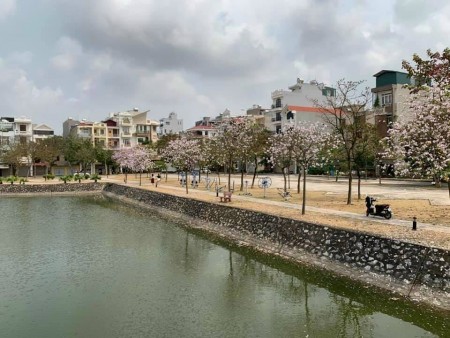 Đi đến slide 20