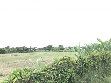 Siêu phẩm giá rẻ, bán đất 100% thổ cư ở Củ Chi