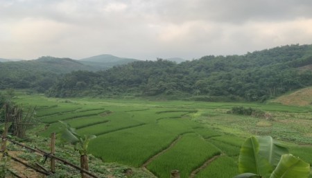 Đi đến slide 5