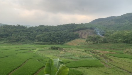 Đi đến slide 6