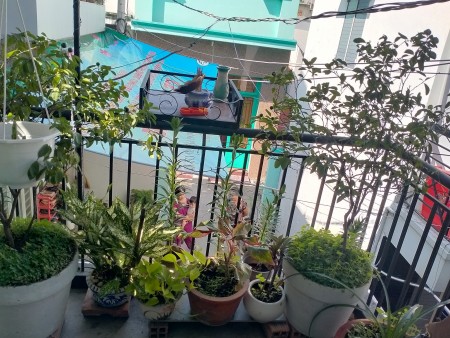Nợ ngân hàng cần bán gấp nhà Trần Xuân Soạn HXH chỉ 3tỷ3.
