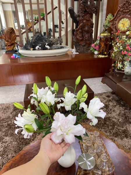 Đi đến slide 5
