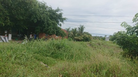 ĐẤT THỔ CƯ VÀ TRỒNG CÂY LÂU NĂM