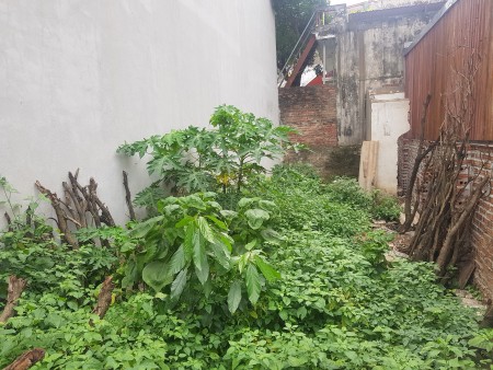 Bán Đất Đông Ngạc Bắc Từ Liêm DT 46M Giá 3.3 Tỷ