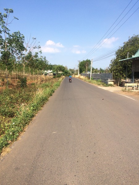 Bán Đất Đường DT 769, Xã Hưng Lộc, KCN Dầu Giây chỉ 7tr/m2, SHR, Full Thổ
