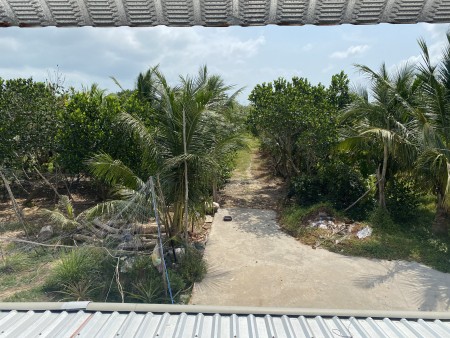 2,8 ha Vườn Cây Ăn Trái - Quy Hoạch Đường Suối Tiên Chạy qua Đất