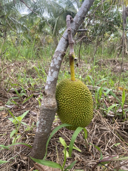 Đi đến slide 3