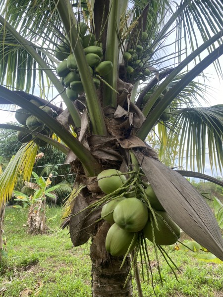 Đi đến slide 7