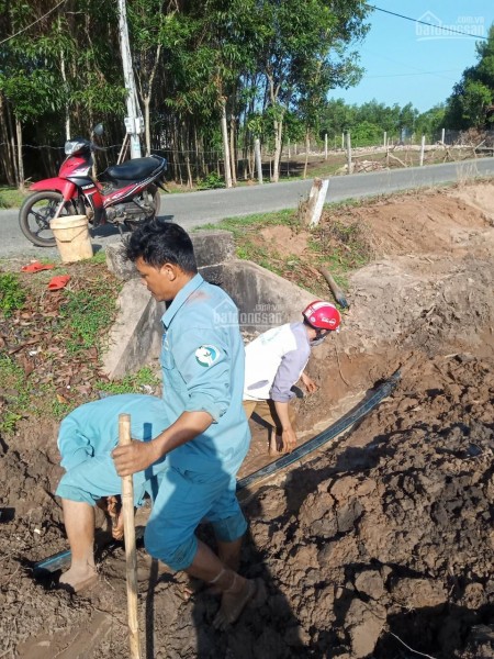 Đi đến slide 6