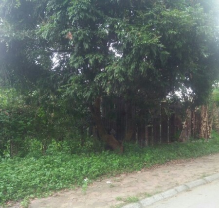 ĐẤT TƯ ĐÌNH-LONG BIÊN cho nhà đầu tư 140m2xMT10m, ô tô tránh, chỉ hơn 60tr/m2. 0977611089