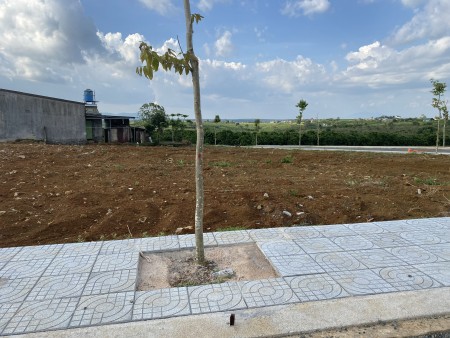 Bán Đất Thổ Cư 100% Gần Trường Học Mặt Tiền Lý Thái Tổ TP Bảo LỘc 0379 893 779