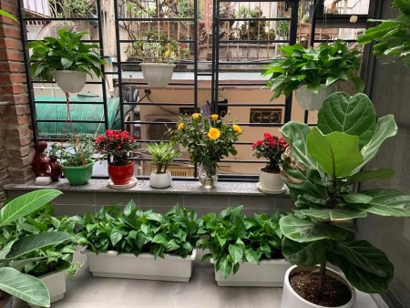 Kinh doanh sầm uất - Vỉa hè rộng phố Thanh Nhàn giá 4,5 tỉ