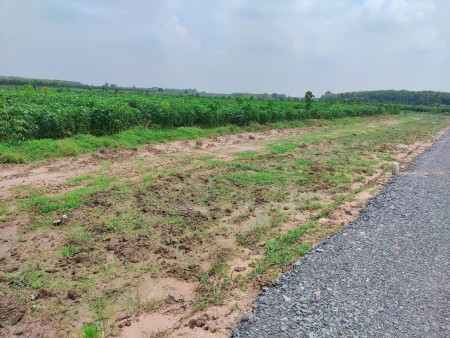 Đất ngộp Tây Ninh diện tích 1000m2