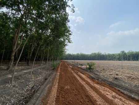Đất nền Tân Hiệp, Tây Ninh giá rẻ