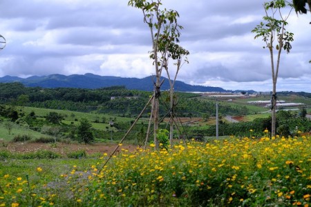 Đi đến slide 4