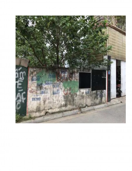 Bán đấu gia đất số 3, ngõ 87 Trường Lâm