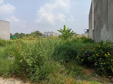 Bán đất thổ cư Long An, Cần Giuộc