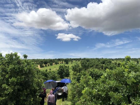 Đi đến slide 2