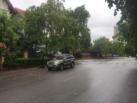 Khu Biêt Thự BT06 Việt Hưng, 201m2 MTx10m 4T Long Biên