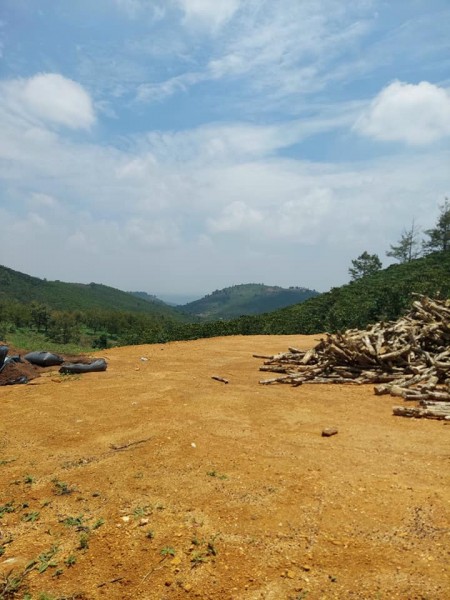 Đi đến slide 5