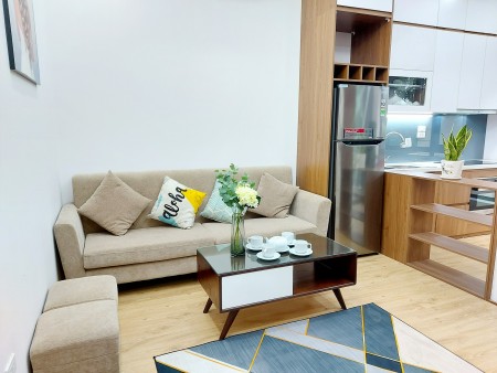 NHÀ MỚI ĐẸP, XÁCH VALI VÀO Ở LUÔN, LÁNG HẠ 40M2, 4,1TỶ