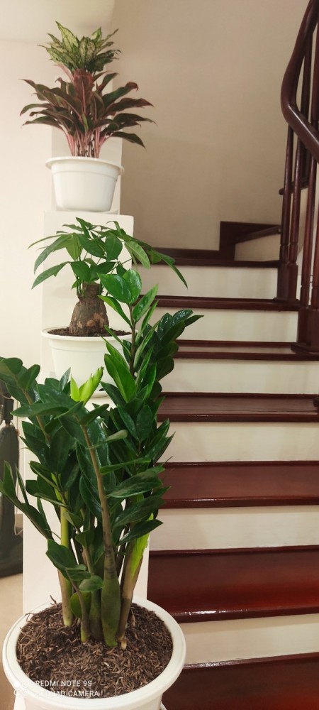 Đi đến slide 7