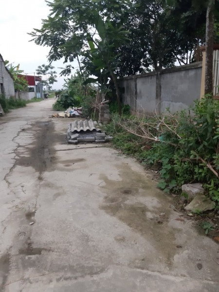 Chính chủ cần bán 2 lô đất liền kề tại xã Thọ Hải, Thọ Xuân, Thanh Hóa