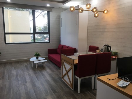 Bán gấp chung cư Everrich quận 5 32m2 SHR NT cao cấp giá NGON