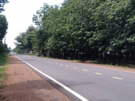 Đi đến slide 5