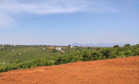 BÁN 500M2 ĐẤT THỔ CƯ NGAY TRUNG TÂM XÃ ĐÔNG THANH, LÂM HÀ 770 TRIỆU