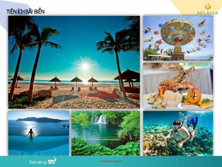 Đi đến slide 3