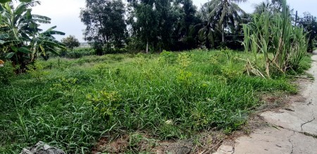 Bán đất Bình Phước giá rẻ đất bao đẹp 1000m2 chỉ có 440 triệu