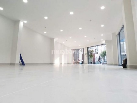 Cho thuê nhà nguyên căn số 100 A5 Đường Thích Quảng Đức, Quận Phú Nhuận TP.HCM