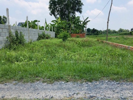 Cần bán ngay miếng đất 100m2 tại Tân Thới Nhì, 870TR, shr, GẤP.