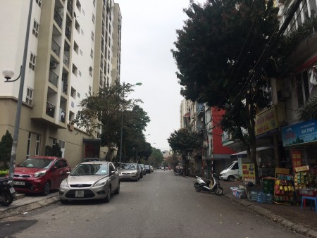 Cần bán đất mặt phố Chính Trung Trâu Quỳ, DT 113m, hướng Đông Nam, đường 15m