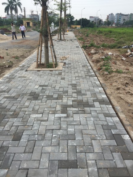 Đi đến slide 5