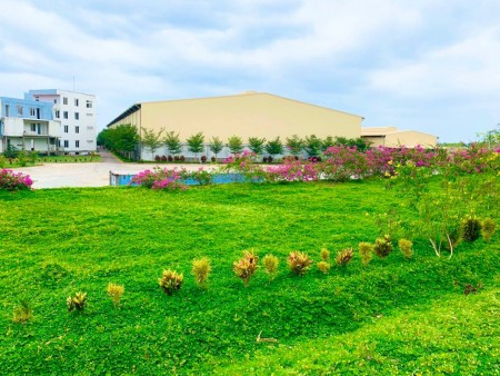 Đi đến slide 6