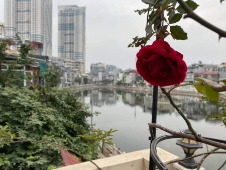 Đi đến slide 2
