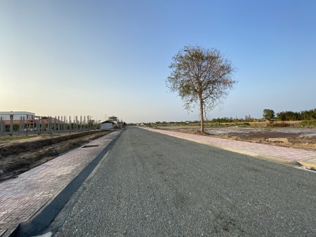 Do dịch covid nên cần ra gấp đất tại Bến Tre giá rẻ