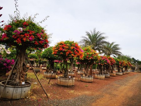 Bán nhà mới phúc lợi giá cực ưu đãi gần vinhome