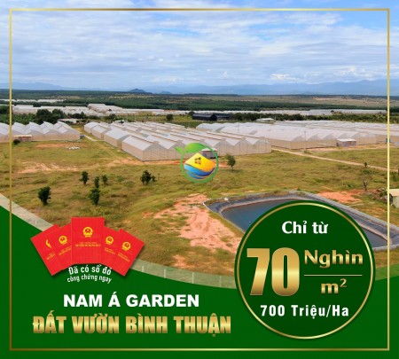 Bán gấp lô đất vườn vị trí đẹp tại xã Hồng Thái, tỉnh Bình Thuận giá 70k/m2, đóng đầu cơ sở hạ tầng.