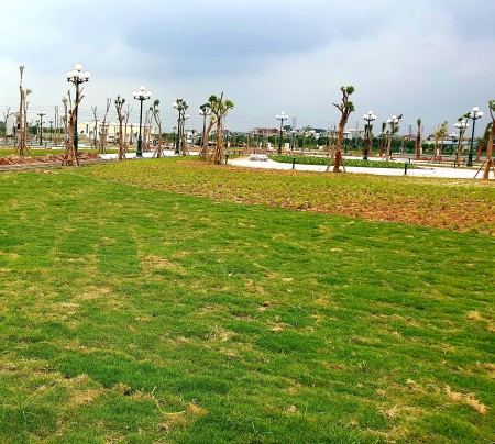 Đi đến slide 10