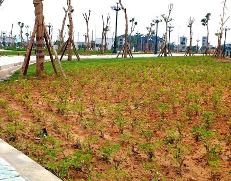 Đi đến slide 11