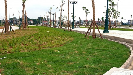 Đi đến slide 8