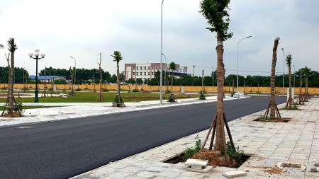 Đi đến slide 7