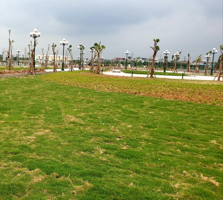 Đi đến slide 6