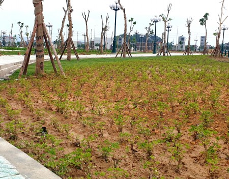 Đi đến slide 3