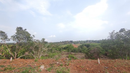 Đi đến slide 1