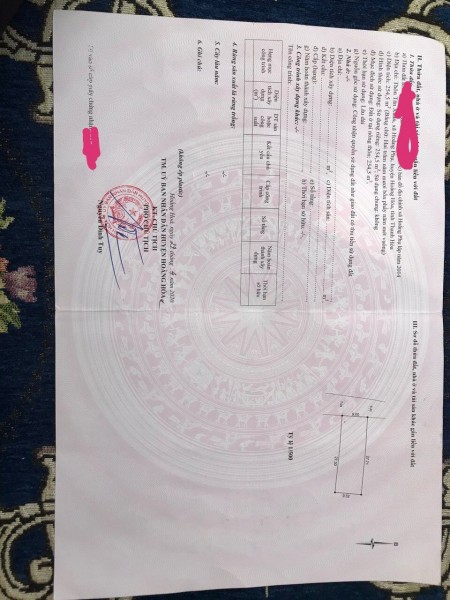 Bán gấp đất biển Hải Tiến, cách biển 50m, không dính quy hoạch, giá siêu rẻ